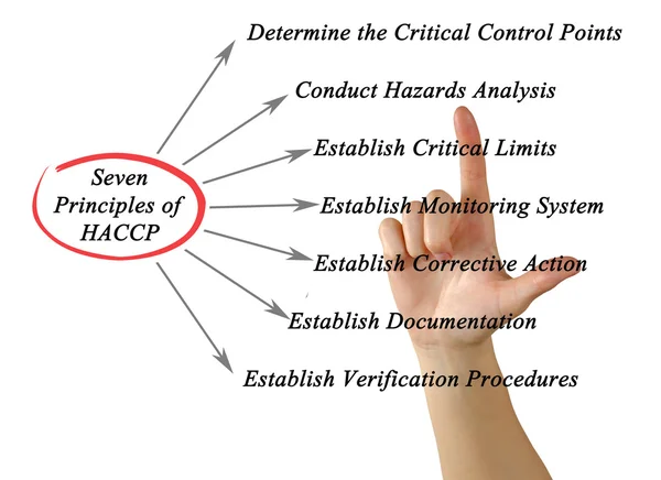 Haccp prensipleri diyagramı — Stok fotoğraf