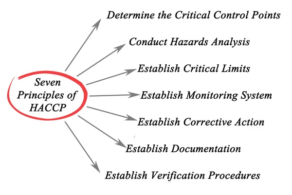 Diagram of Principles of HACCP — Stock Photo, Image