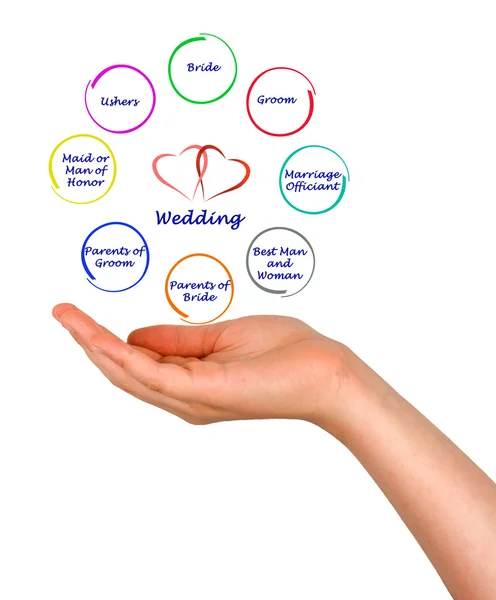 Presentation av Diagram över bröllop — Stockfoto