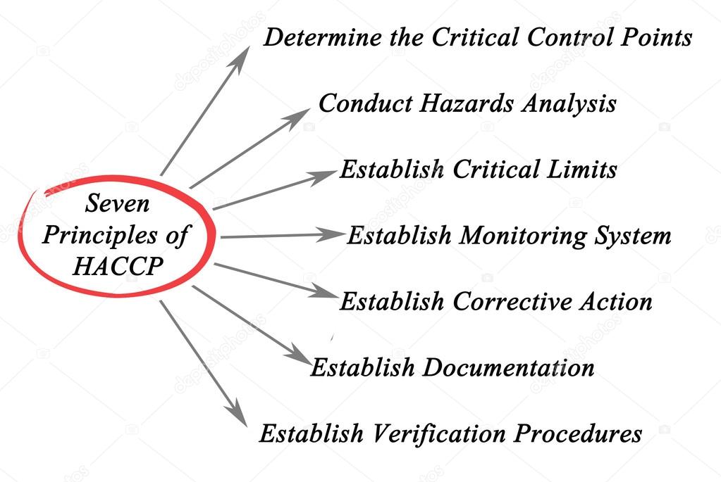 Diagram of Principles of HACCP