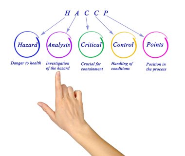 HACCP Düzenleme Gereksinimleri Diyagramı