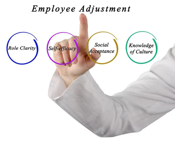 Diagrama del ajuste de los empleados — Foto de Stock