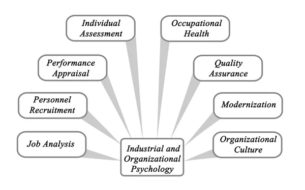 Industrial and Organizational Psychology — Stock Photo, Image