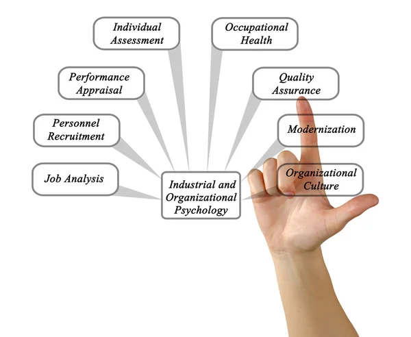 Industrial and Organizational Psychology — Stock Photo, Image