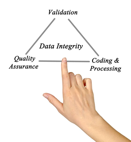 Diagrama de Integridade dos Dados — Fotografia de Stock