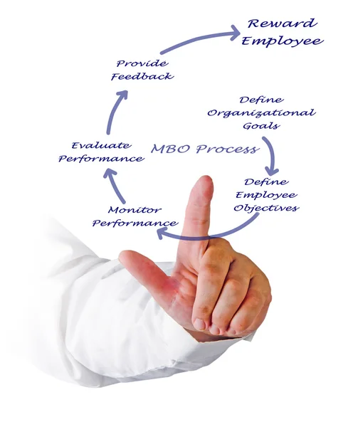 Diagram van Mbo proces — Stockfoto
