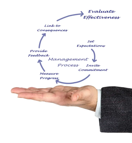 Diagrama do processo de gestão — Fotografia de Stock