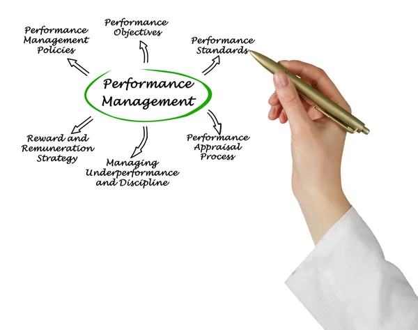 Diagram van de Performance managementsysteem — Stockfoto