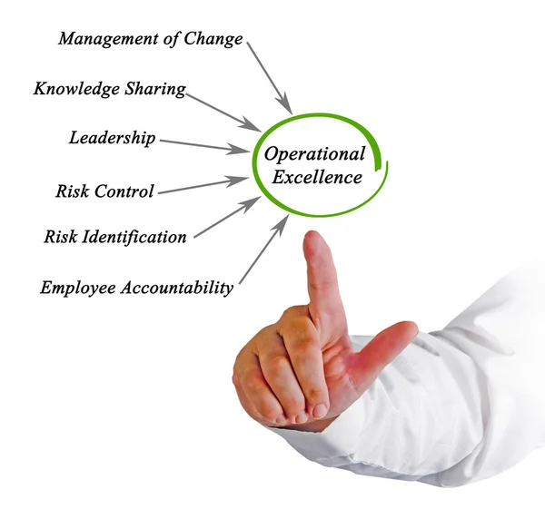Diagram van Operational Excellence — Stockfoto
