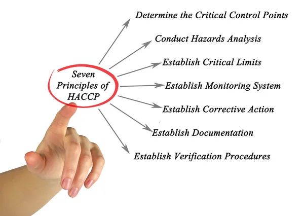 Diagrama de Princípios do HACCP — Fotografia de Stock