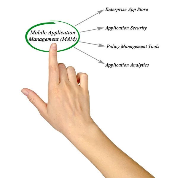 Diagramm der mobilen Anwendungsverwaltung — Stockfoto