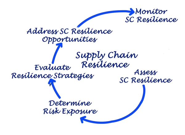 Diagrama de la resiliencia de la cadena de suministro — Foto de Stock