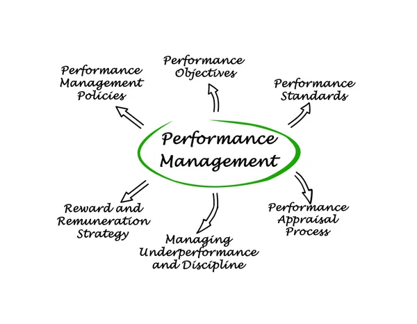 Diagram van de Performance managementsysteem — Stockfoto