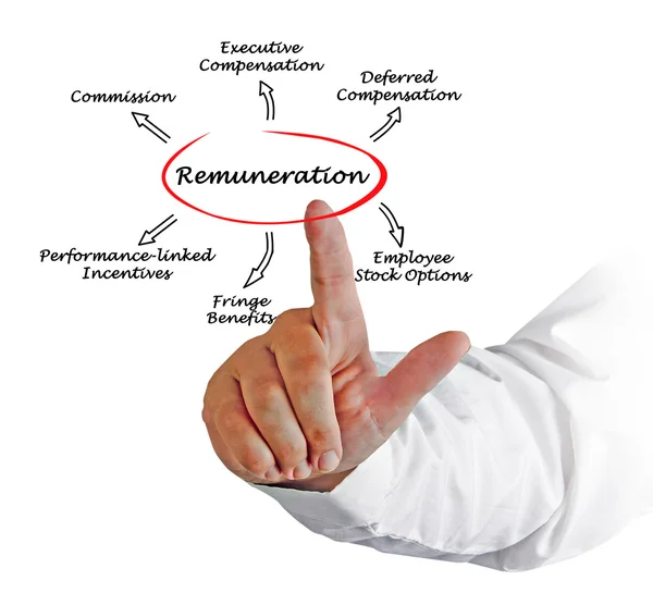 Presentation of Diagram of Remuneration — Stock Photo, Image