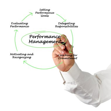 Performans yönetimi diyagramı