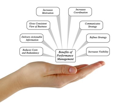 Performans yönetim sistemi diyagramı