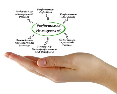 Performans yönetim sistemi diyagramı