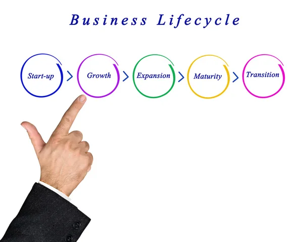 Diagram van de levenscyclus van de Business — Stockfoto