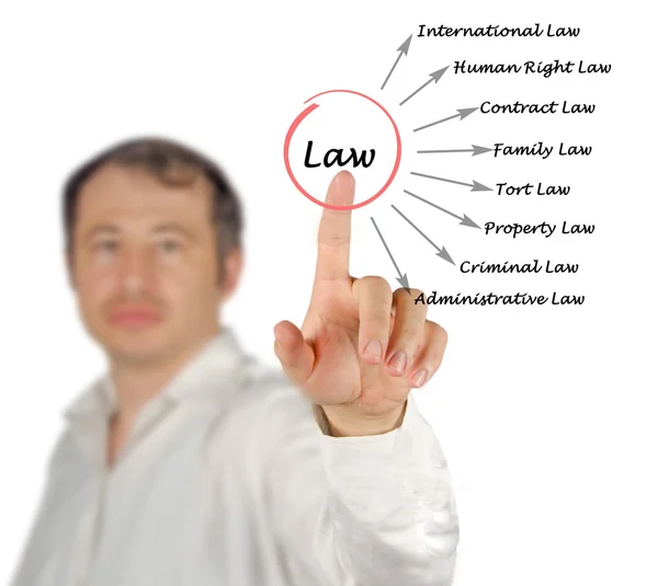 Presentation of Diagram of law — Stock Photo, Image