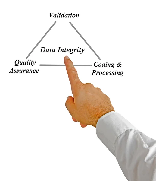 Diagrama de Integridade dos Dados — Fotografia de Stock