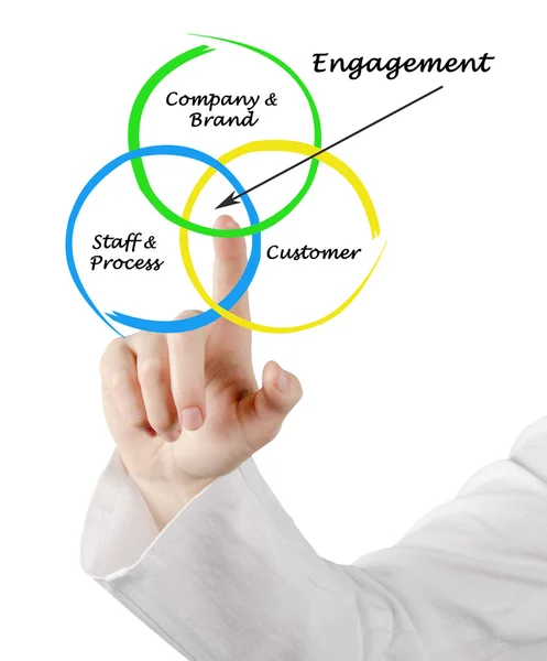 Presentation of Diagram of engagement — Stock Photo, Image