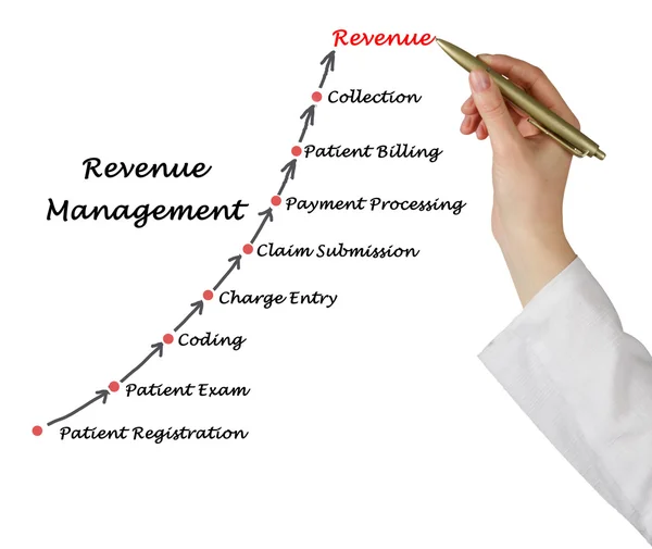 Diagrama de Gestión de Ingresos — Foto de Stock