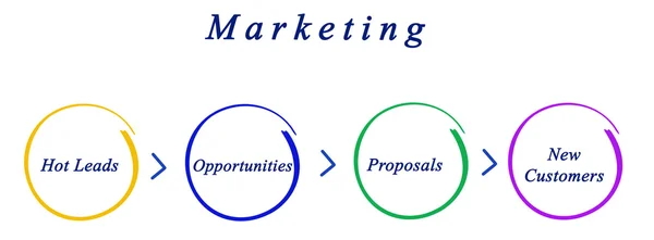 Presentation of Diagram of marketing — Stock Photo, Image