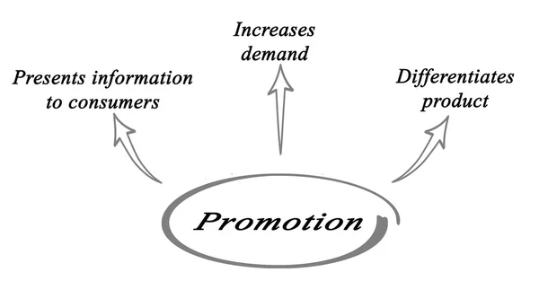 Presentation of Diagram of promotion — Stock Photo, Image