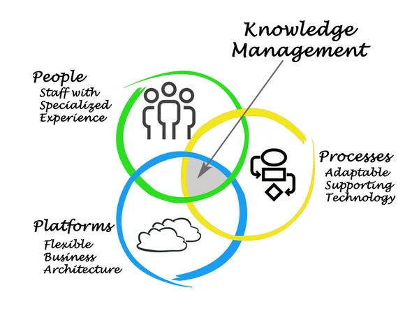 Diagram of knowledge management — Stock Photo, Image