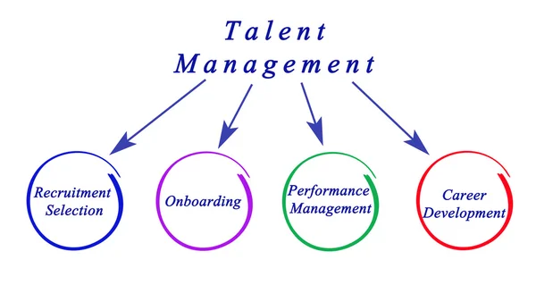 Diagrama de Gestión del Talento — Foto de Stock