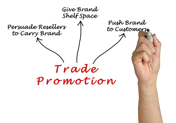Diagrama de Promoción Comercial —  Fotos de Stock