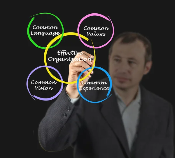 Diagram of Effective Organizations — Stock Photo, Image