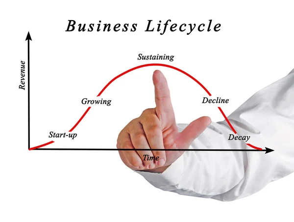 Диаграмма жизненного цикла бизнеса — стоковое фото