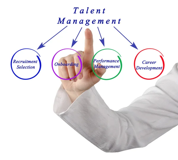 Diagrama de Gestão de Talentos — Fotografia de Stock