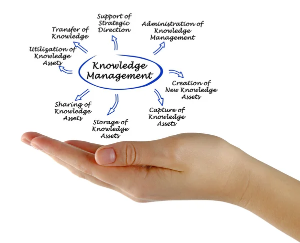 Diagram van kennismanagement — Stockfoto