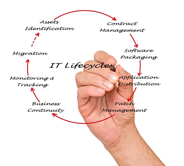 Diagram över det Lifecycle Management — Stockfoto