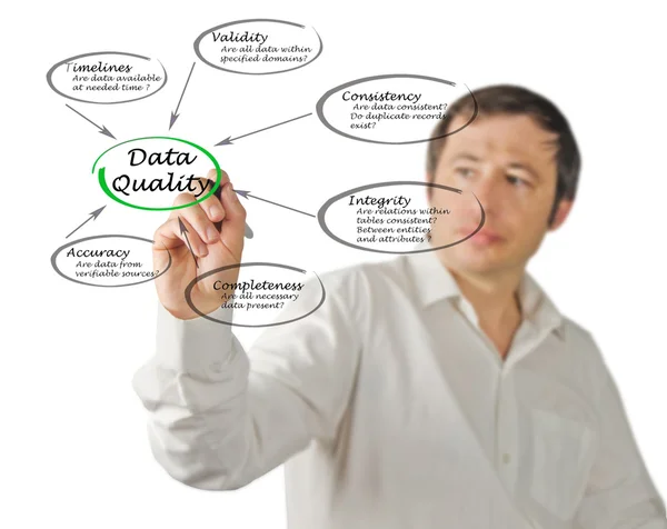 Diagram of Data Quality — Stock Photo, Image