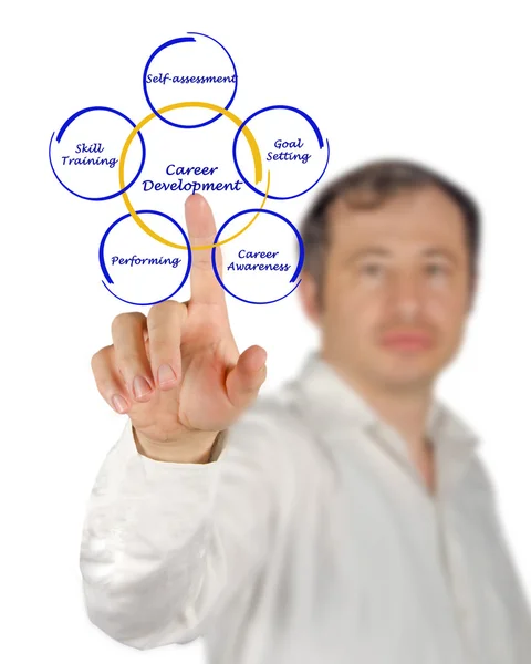 Diagram van career development — Stockfoto