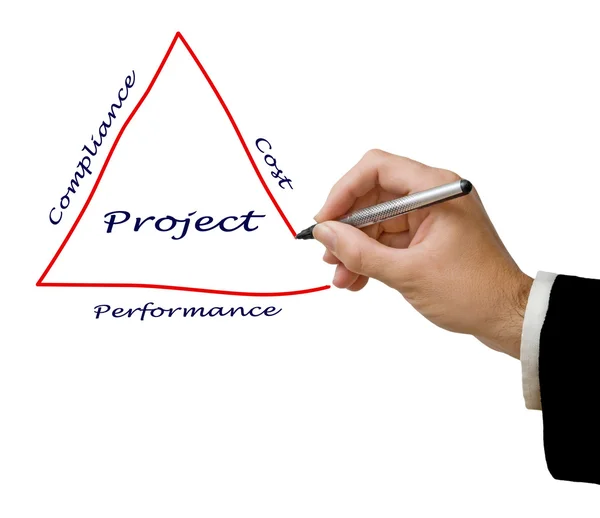 Schema dell'organizzazione del progetto — Foto Stock