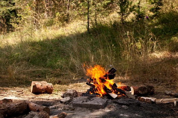 Kampvuur in groene weiden — Stockfoto