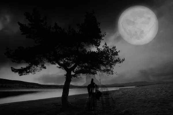 Scenic Shot Tranquil Landscape Lonely Tree Lake Big Moon — Stock Photo, Image