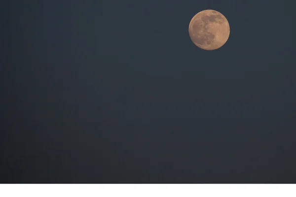 蓝色夜空中的月亮特写 — 图库照片