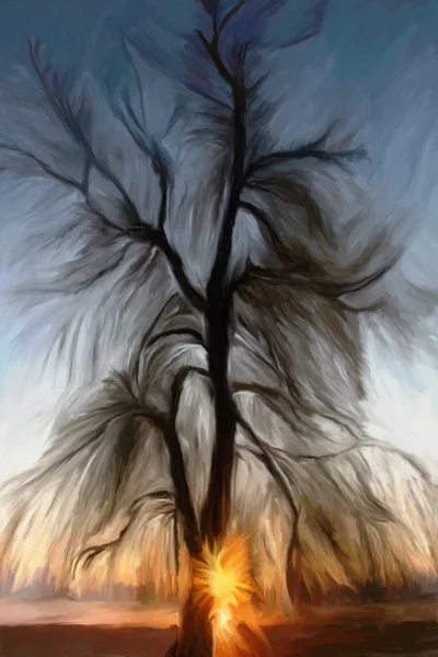 Κυματιστή Αφηρημένη Επεξεργασμένη Φωτογραφία Του Δέντρου Στο Ηλιοβασίλεμα — Φωτογραφία Αρχείου