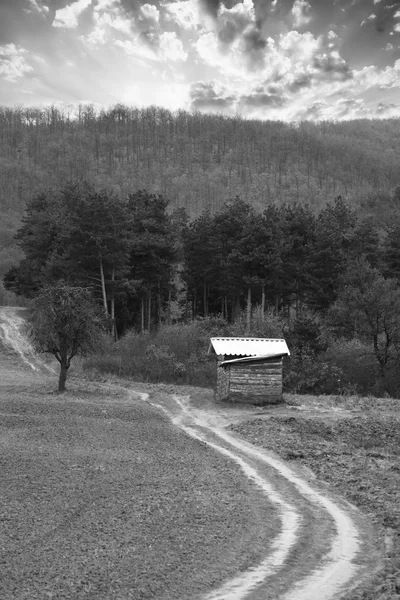 Zwart Wit Opname Van Oude Houten Hut Bos — Stockfoto