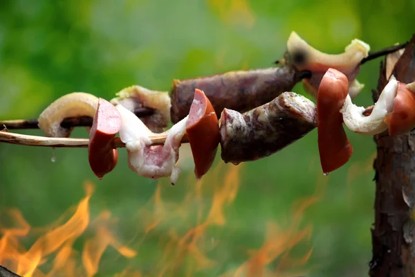 Spit camping bbq — Stock Photo, Image