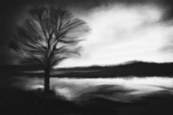 Bw silhouette albero — Foto Stock