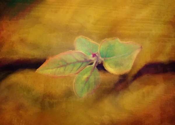 Grunge watercolor leaf — стоковое фото