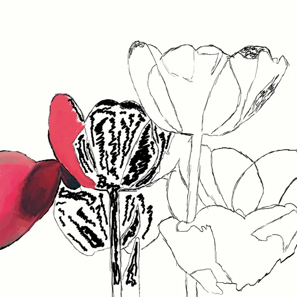 sketch illustration of flowers on white background