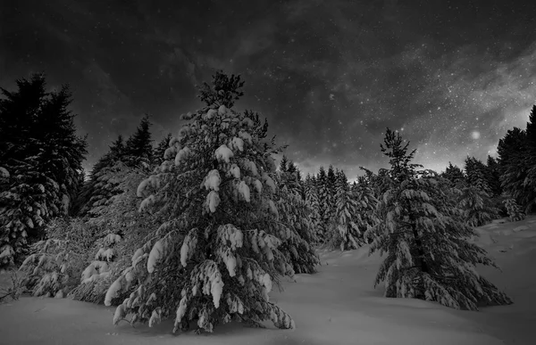 Paysage nocturne d'hiver — Photo