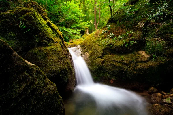 Montagna primavera sfondo — Foto Stock